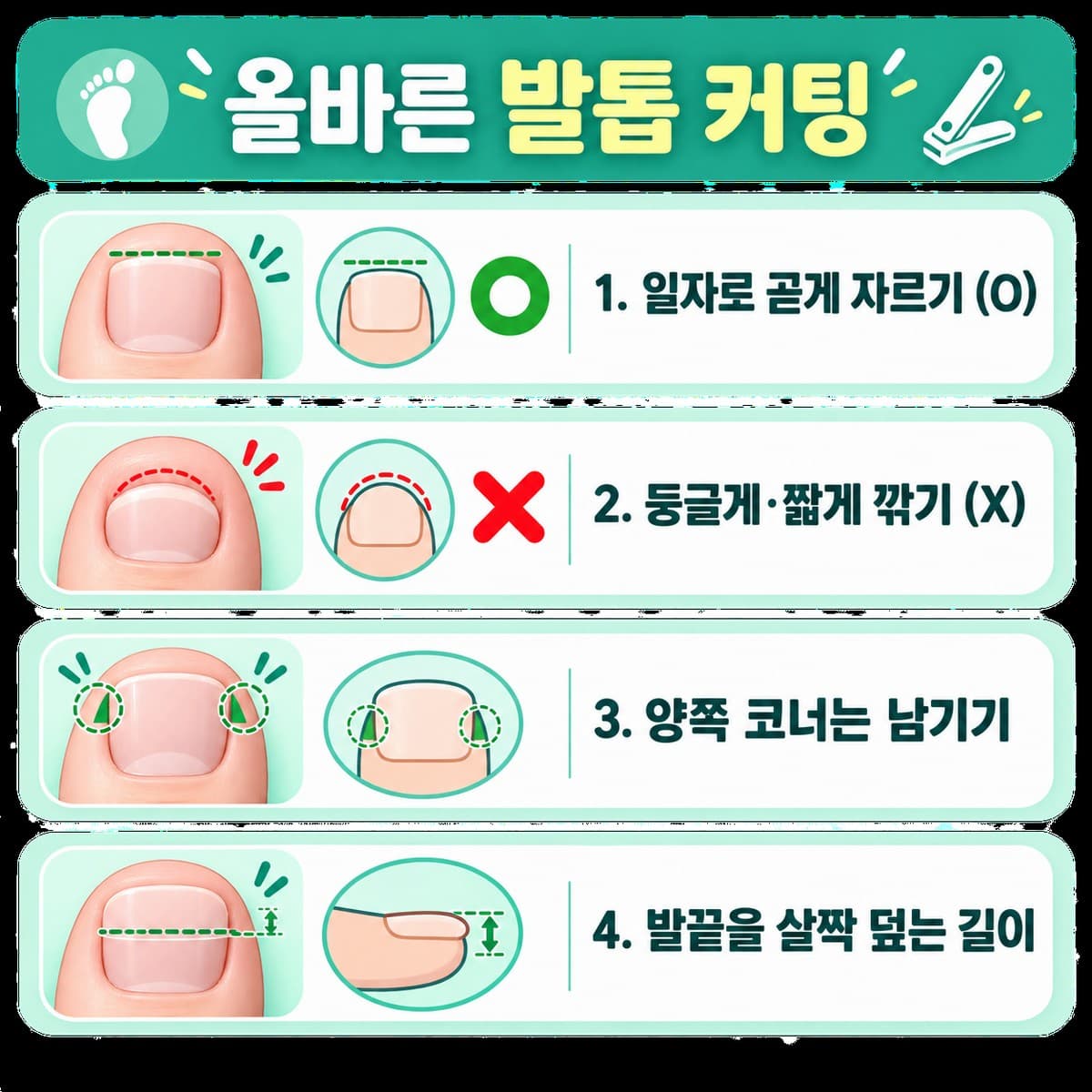 발톱, 왜 일자로 잘라야 할까요? 올바른 방법 정리