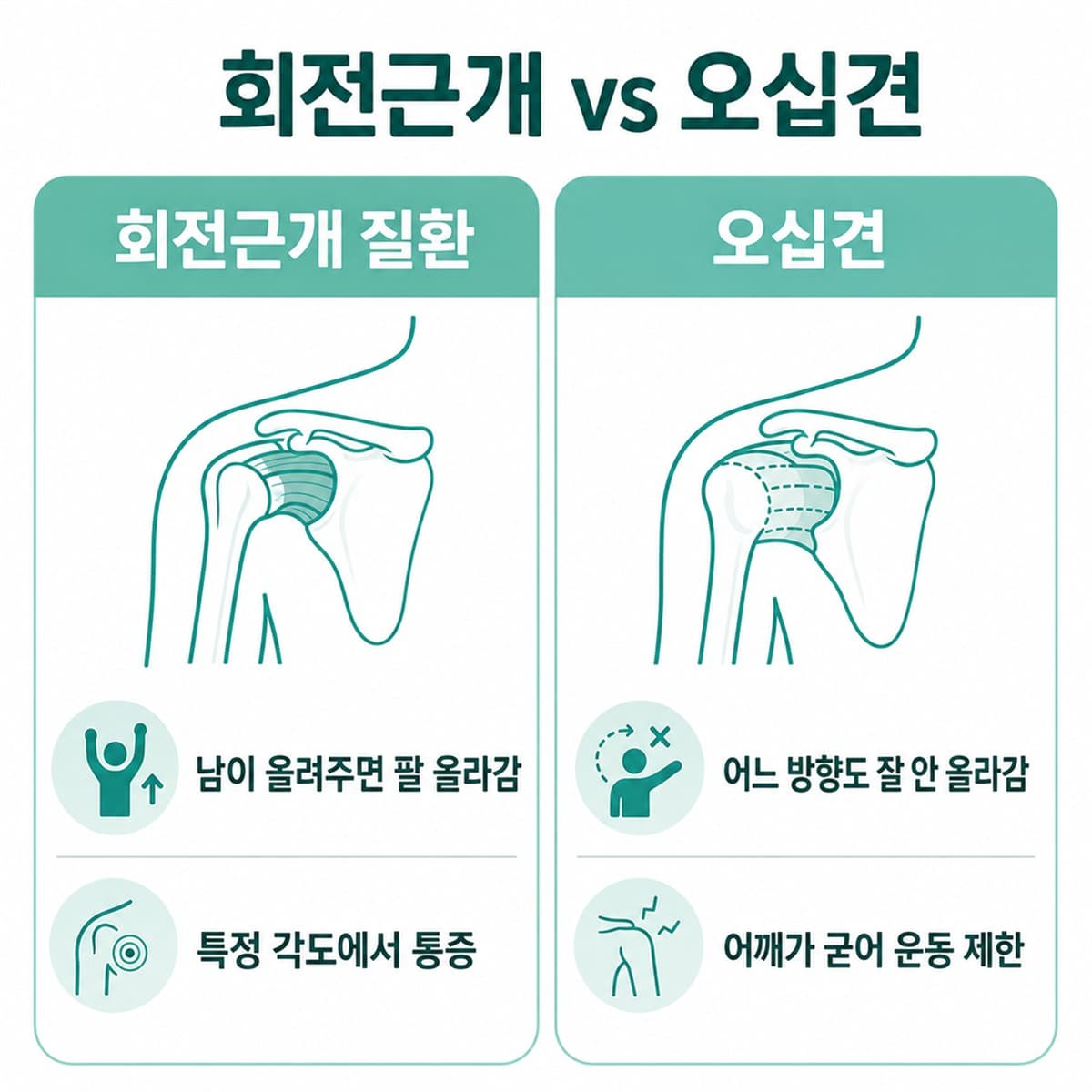 회전근개 질환과 오십견의 차이를 비교한 한글 인포그래픽