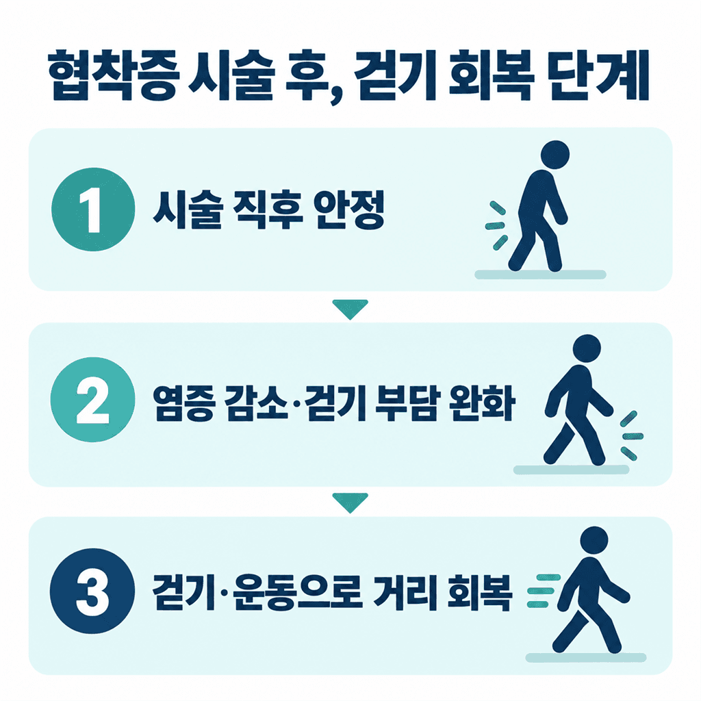 척추관협착증 시술 후 걷기 회복 단계를 정리한 안내 카드